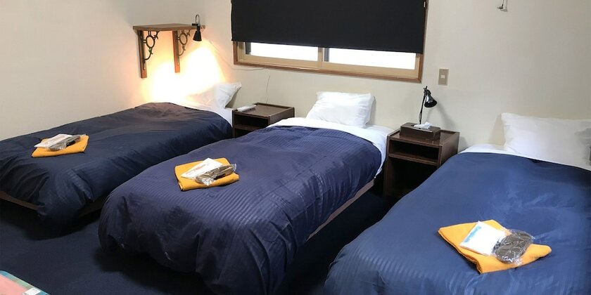 Imagen de la habitación del Hotel ALP Lodge. Foto 11