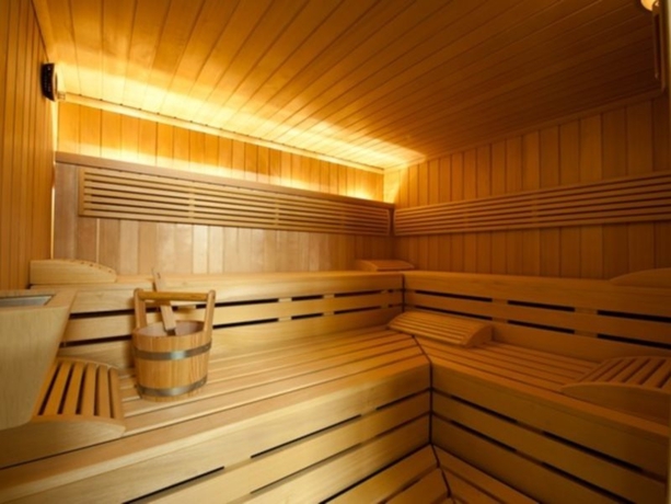 Imagen general del Hotel ALPINE LODGE, Berna Cant&oacute;n. Foto 2