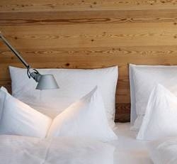 Imagen general del Hotel ALPINE SPA HOTEL HAUS HIRT. Foto 4