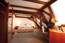 Imagen de la habitación del Hotel ALSTADT-HOTEL MOLITOR. Foto 3