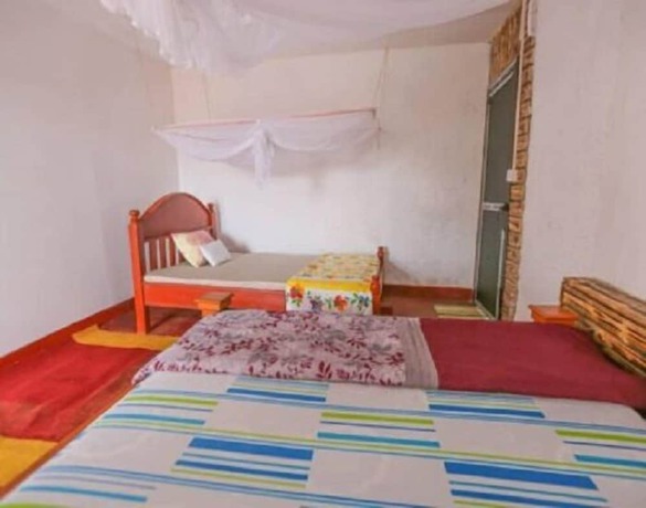 Imagen de la habitación del Hotel AMANI HOSTEL. Foto 6