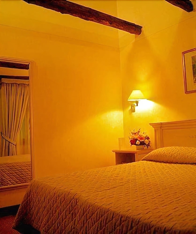 Imagen de la habitación del Hotel AMBASSADOR TRE ROSE. Foto 11