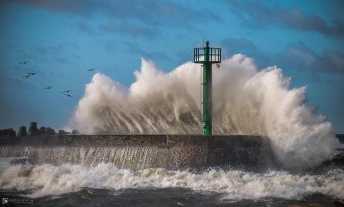 Imagen general del Hotel AMBER PORT. Foto 11