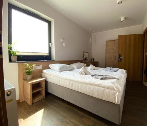 Imagen de la habitación del Hotel AMBER PORT. Foto 19