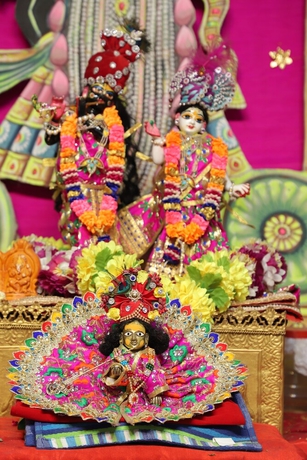 Imagen general del Hotel ANAND SEWA DHAM. Foto 2