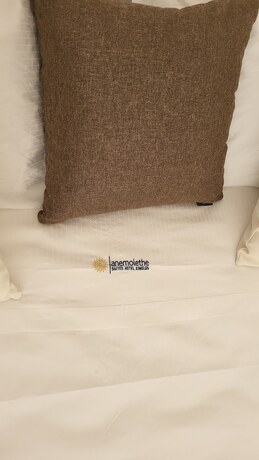 Imagen general del Hotel ANEMOLETHE. Foto 4