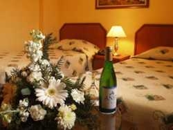 Imagen general del Hotel ANIT PARK. Foto 3