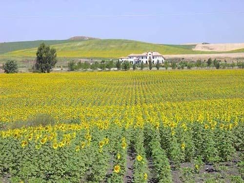 Imagen general del Hotel ANTIGUA ESTACION. Foto 4