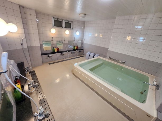 Imagen de la habitación del Hotel AOKI. Foto 8