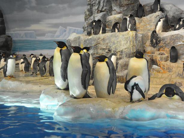 Imagen general del Hotel APA Hotel Nagoya Sakae-Higashi. Foto 2