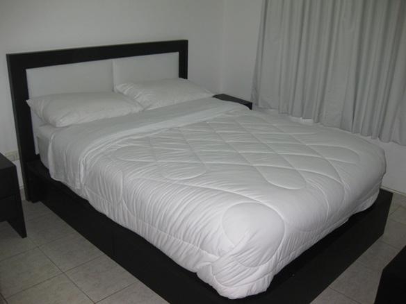 Imagen general del Hotel APARTAMENTOS EXECUTIVE FLATS. Foto 4
