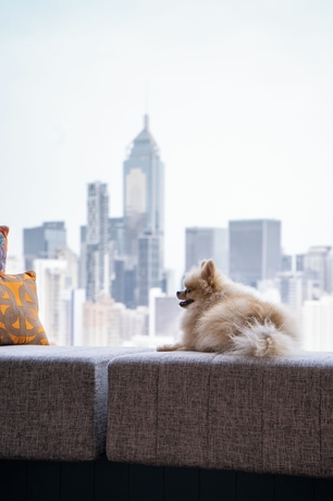 Imagen de la habitación del Hotel APTO HV (Causeway Bay). Foto 3