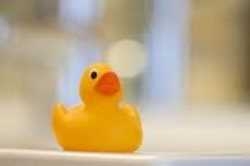 Imagen de la habitación del Hotel ARTE, Krems. Foto 4