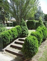 Imagen general del Hotel AS Bellaterra. Foto 14