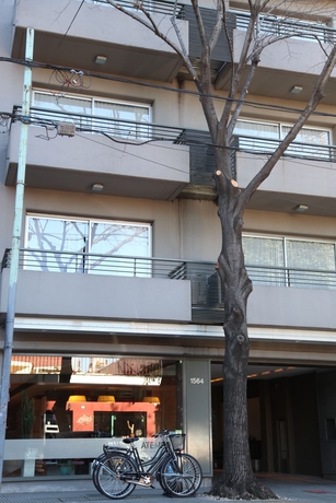 Imagen general del Hotel ATEMPO DESIGN HOTEL. Foto 2