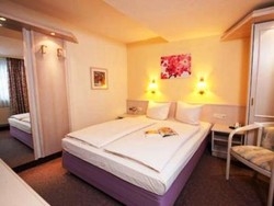 Imagen general del Hotel AUM&Uuml;LLER TRAUBE. Foto 6