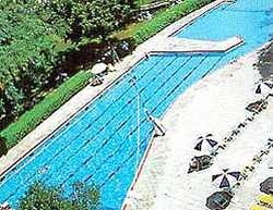 Imagen de la piscina del Hotel AVIA. Foto 3