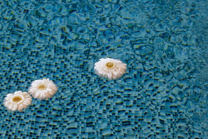 Imagen de la piscina del Hotel AX The Palace. Foto 15