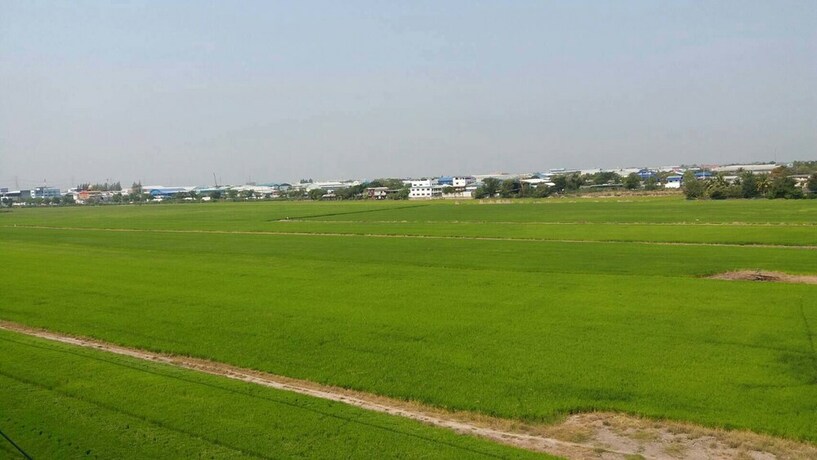 Imagen de los exteriores del Hotel Aa Villa Garden Airport. Foto 35