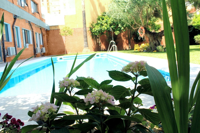Imagen de la piscina del Hotel Aacr Monteolivos. Foto 15