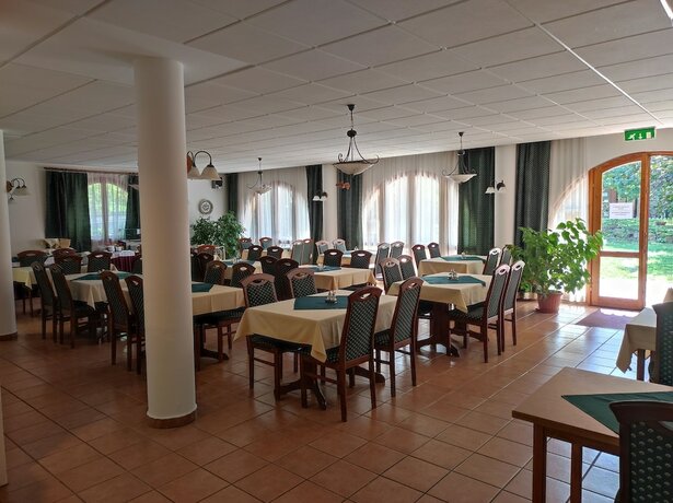 Imagen general del Hotel &Aacute;gnes, HEVIZ. Foto 13