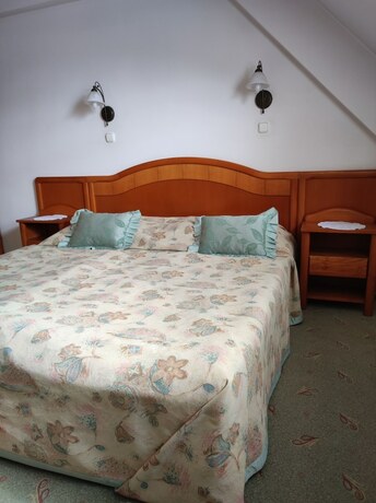 Imagen de la habitación del Hotel &Aacute;gnes, HEVIZ. Foto 20