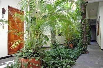 Imagen de los interiores del Hotel &Aacute;rbol De Fuego Eco-hotel. Foto 13