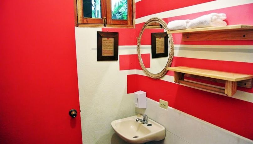 Imagen de la habitación del Hotel &Aacute;rbol De Fuego Eco-hotel. Foto 8