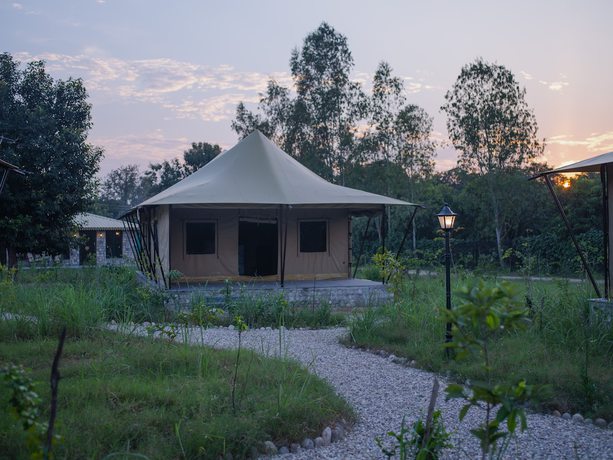 Imagen general del Hotel Aalia Jungle Bandarjudh. Foto 1