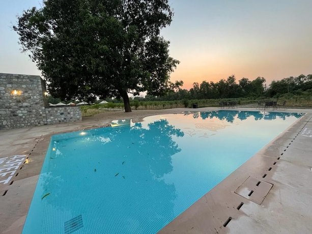 Imagen de la piscina del Hotel Aalia Jungle Bandarjudh. Foto 20