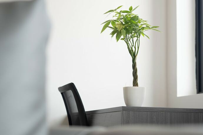 Imagen general del Hotel AandJ Kampot Boutique. Foto 8