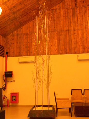 Imagen de los interiores del Hotel Aarohi Starz Club. Foto 10