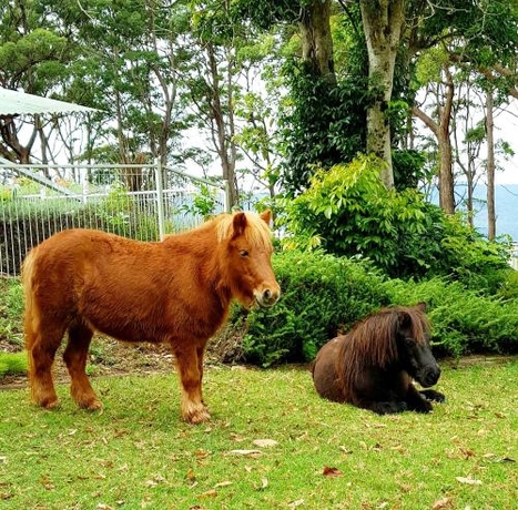 Imagen general del Hotel Aaronlee Retreat. Foto 3