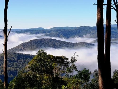 Imagen general del Hotel Aaronlee Retreat. Foto 5