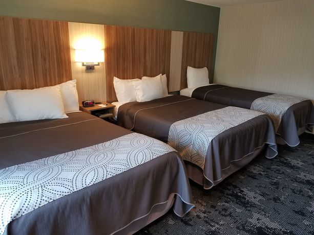 Imagen de la habitación del Hotel Aartpark Inn At Lewiston. Foto 8