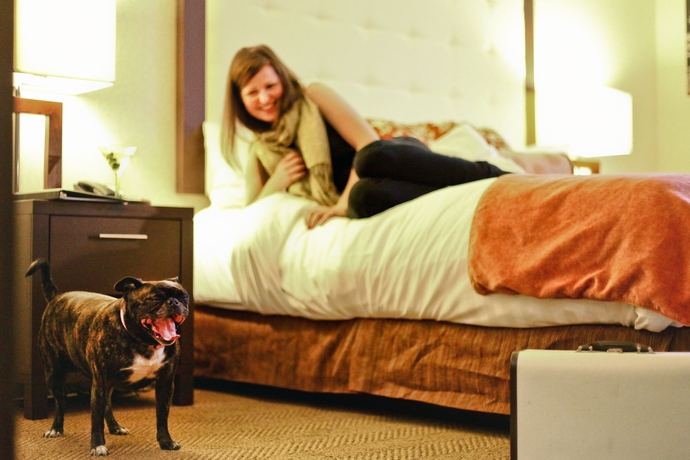 Imagen de la habitación del Hotel Aava Whistler. Foto 9