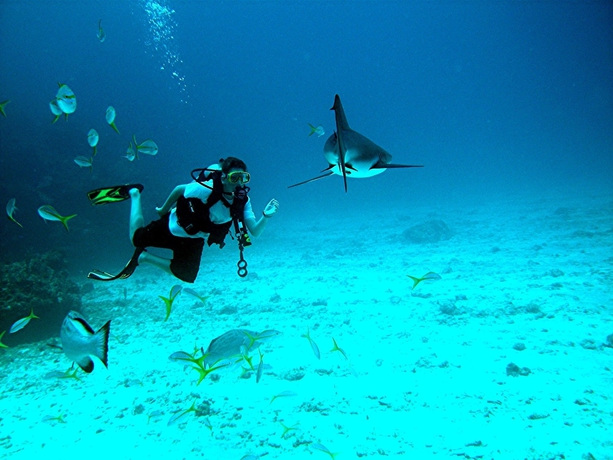 Imagen general del Hotel Abaco Beach Resort and Boat Harbour Marina. Foto 3
