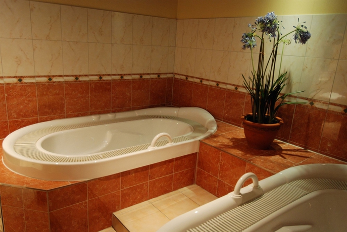 Imagen de la piscina del Hotel Abacus Tierpark Berlin. Foto 12