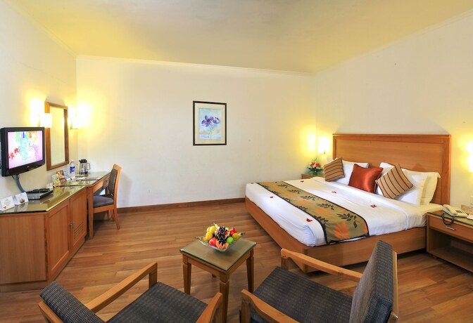 Imagen general del Hotel Abad Plaza. Foto 17