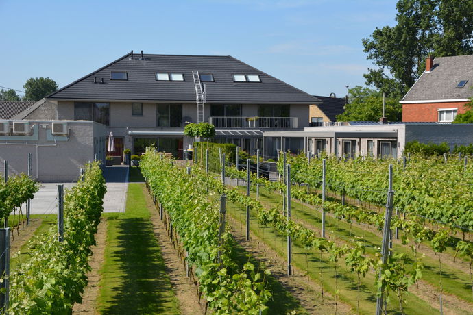 Imagen de los exteriores del Hotel Abalona. Foto 14