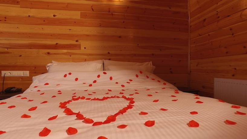 Imagen de la habitación del Hotel Abant Kartal Yuvasi, Bolu. Foto 4