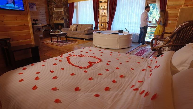 Imagen de la habitación del Hotel Abant Kartal Yuvasi, Bolu. Foto 6