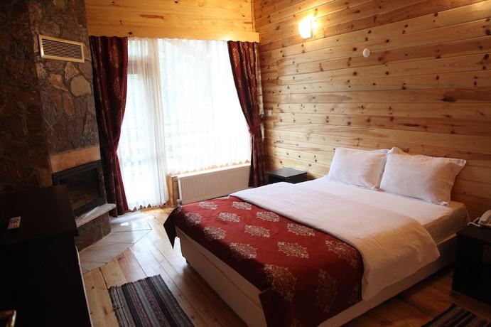 Imagen de la habitación del Hotel Abant Kartal Yuvasi, Bolu. Foto 8