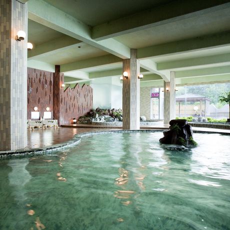 Imagen de la piscina del Hotel Abashirikoso. Foto 10