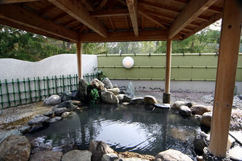 Imagen de la piscina del Hotel Abashirikoso. Foto 11