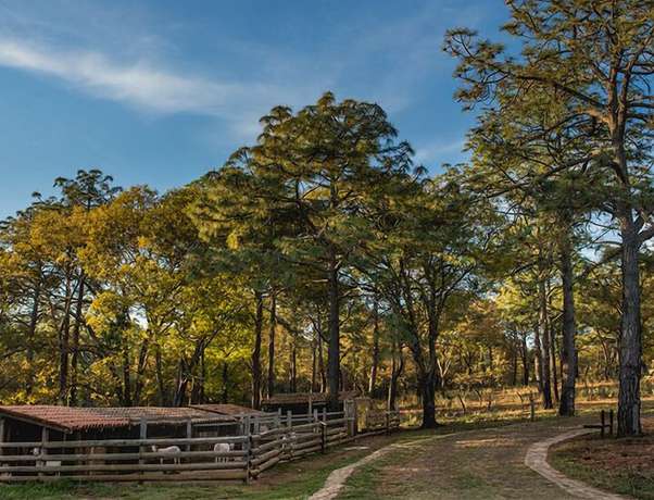 Imagen de los interiores del Hotel Abba Eco Adventure. Foto 11