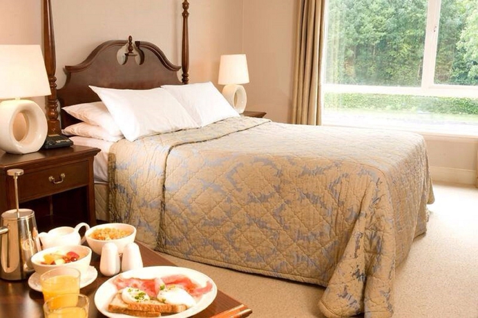 Imagen de la habitación del Hotel Abbeyleix Manor. Foto 7