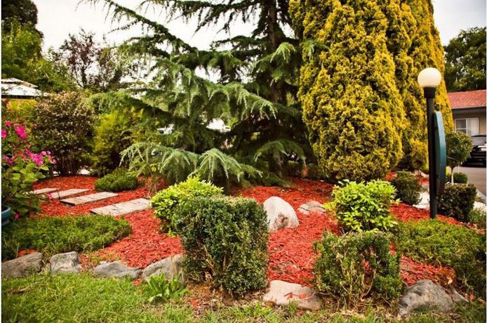 Imagen de la habitación del Hotel Abbotsleigh Motor Inn. Foto 9