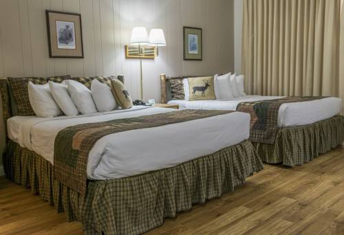 Imagen de la habitación del Hotel Abe Martin Lodge & Cabins. Foto 2