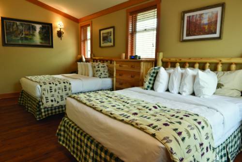 Imagen de la habitación del Hotel Abe Martin Lodge & Cabins. Foto 6